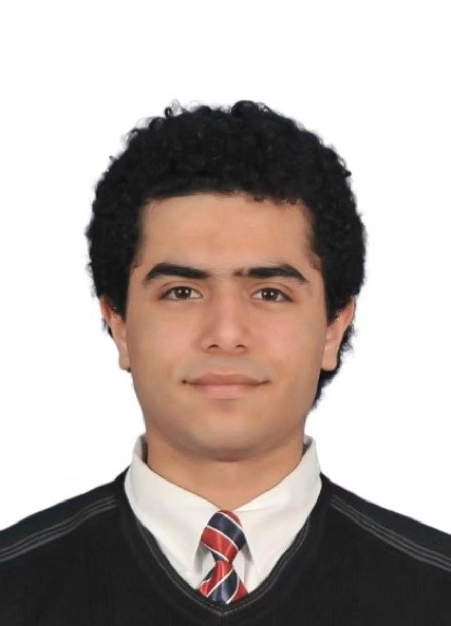 A.M.M Elsayed